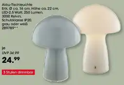 Möbel Martin Akku-Tischleuchte Angebot