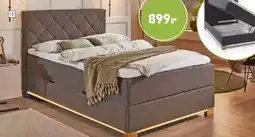 Möbel Martin Boxbett Angebot