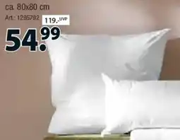 Zurbrüggen CENTA-STAR Kopfkissen Vegan Dream Angebot