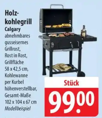 Famila Nord Ost Holzkohlegrill Angebot