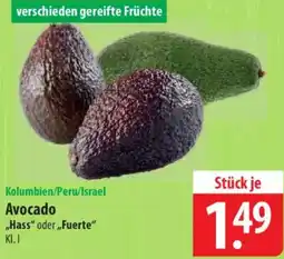 Famila Nord Ost Kolumbien/Peru/Israel Avocado Angebot