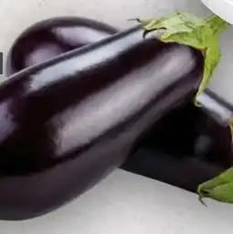 Handelshof Aubergine Angebot