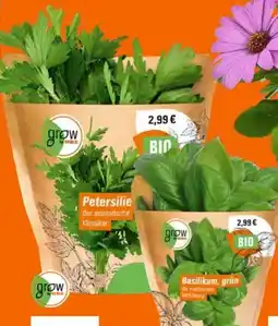 OBI Grow By Obi Bio Kräuter Angebot