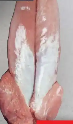 Handelshof Schweinefilet Tiefgefroren Angebot