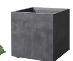 OBI Deroma Pflanzkübel Cubo Millennium Angebot