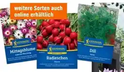 OBI Kiepenkerl Sämereien Angebot