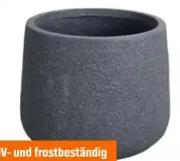 OBI Pflanztopf Lavalle Angebot