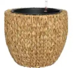 OBI Pflanztopf Angebot