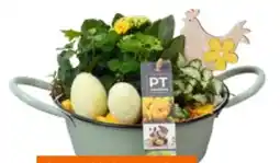 OBI PT Creations Bepflanzter Zinkschale Angebot