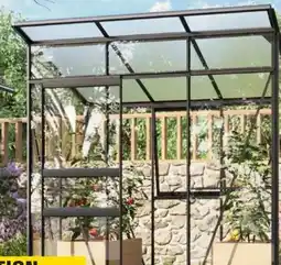 OBI Gewächshaus Palma Angebot