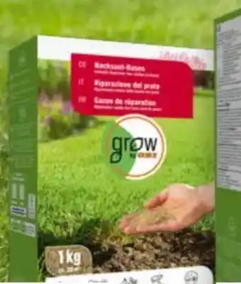OBI Grow By Obi Nachsaatrasen Angebot
