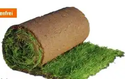 OBI Rollrasen Angebot