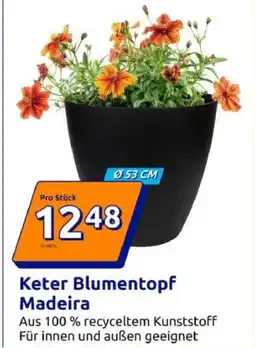 Action Keter Blumentopf Madeira Angebot