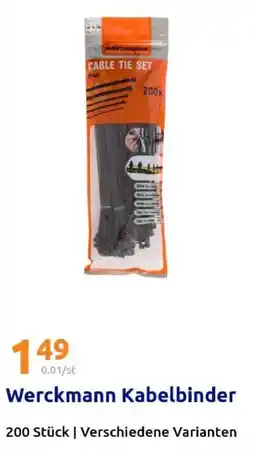 Action Werckmann Kabelbinder Angebot