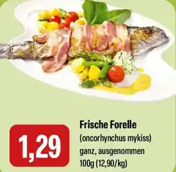 Feneberg Frische Forelle Angebot