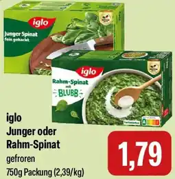 Feneberg iglo Junger oder Rahm-Spinat Angebot