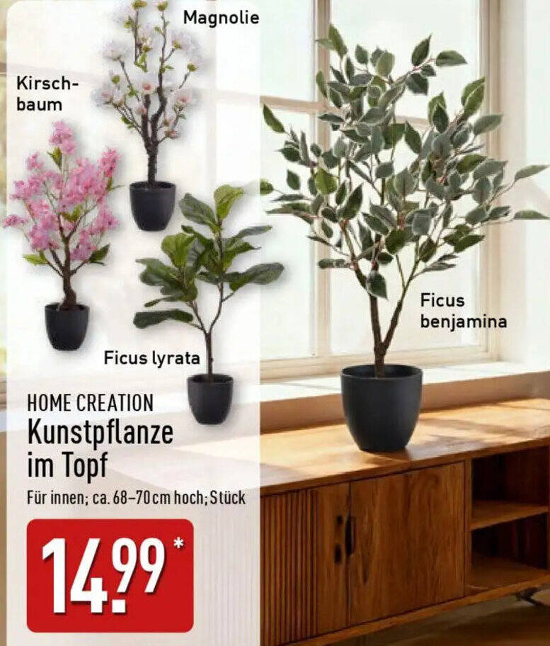 HOME CREATION Kunstpflanze im Topf Angebot bei Aldi Nord