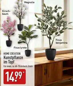 Aldi Nord HOME CREATION Kunstpflanze im Topf Angebot