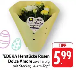 Edeka Neukauf EDEKA Herstücke Rosen Dolce Amore Angebot