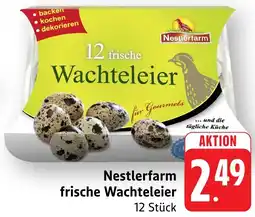 Edeka Neukauf Nestlerfarm frische Wachteleier Angebot