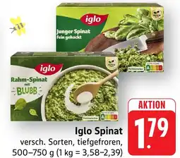 Edeka Neukauf Iglo Spinat Angebot