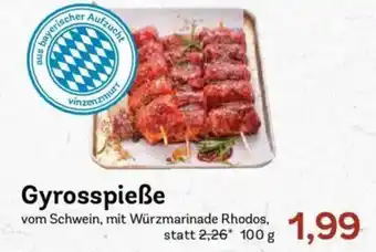 AEZ Gyrosspieße Angebot