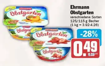 AEZ Ehrmann Obstgarten Angebot
