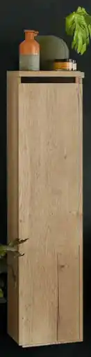 Zurbrüggen Dieter Knoll Midischrank Angebot