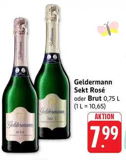 Edeka Neukauf Geldermann Sekt Rosé oder Brut Angebot