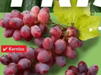 Kaufland Tafeltrauben Angebot