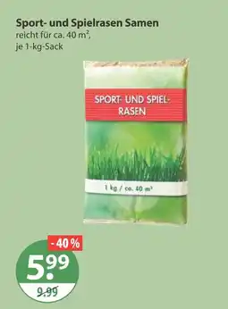 V Markt Sport- und spielrasen samen Angebot