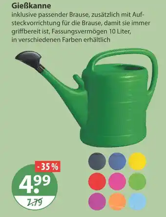 V Markt Gießkanne Angebot