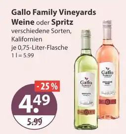 V Markt Gallo family vineyards weine Angebot