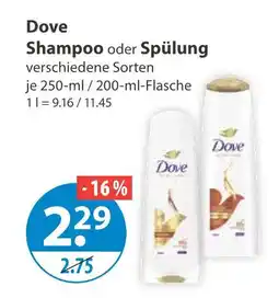 V Markt Dove shampoo Angebot