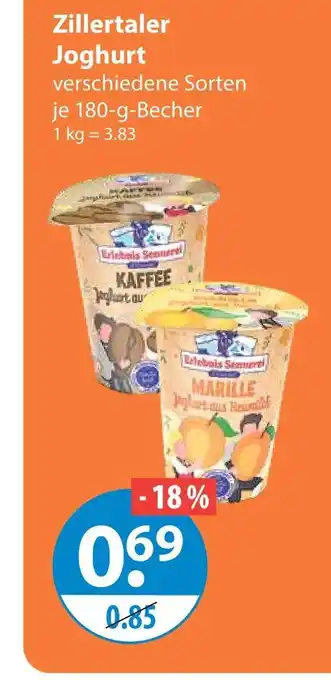V Markt Zillertaler joghurt Angebot