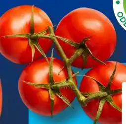 Aldi Süd Rispentomaten Angebot