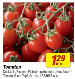 toom Baumarkt Tomaten Angebot