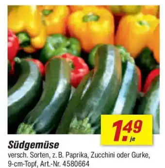 toom Baumarkt Südgemüse Angebot