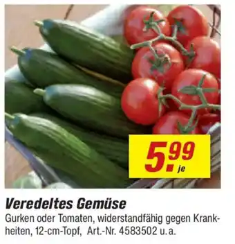 toom Baumarkt Veredeltes Gemüse Angebot