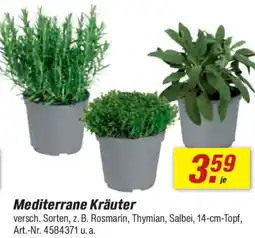 toom Baumarkt Mediterrane Kräuter Angebot