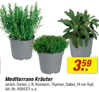 toom Baumarkt Mediterrane Kräuter Angebot