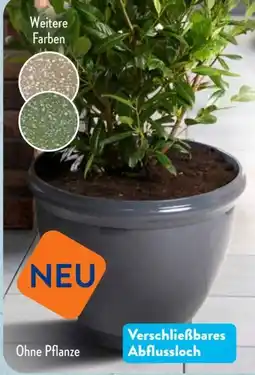 Aldi Süd Belavi Pflanzgefäß Angebot