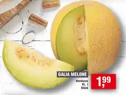 Handelshof Galia melone Angebot