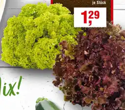Handelshof Lollo rosso/ lollo bionda Angebot
