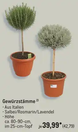 METRO Gewürzstämme Angebot