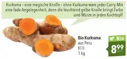 CITTI Markt Bio Kurkuma Angebot