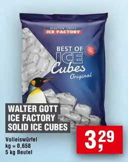 Handelshof WALTER GOTT ICE FACTORY SOLID ICE CUBES Angebot