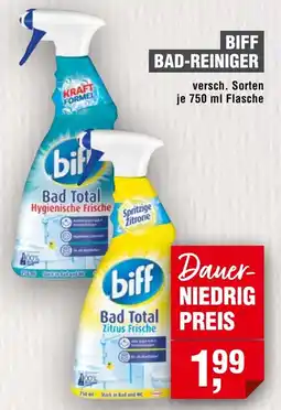 Handelshof Biff bad-reiniger Angebot