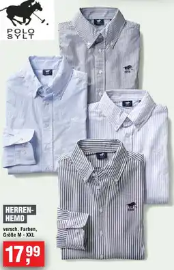 Handelshof Polo sylt herren-hemd Angebot