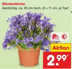 Netto Marken-Discount Glockenblume Angebot